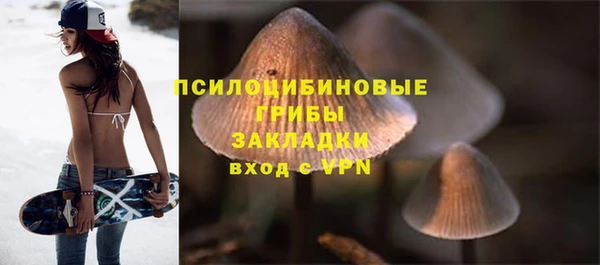 Альфа ПВП Армянск